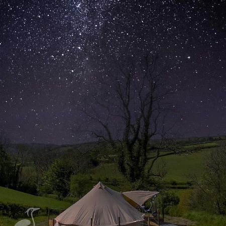 Hotel Herons Retreat Llandysul Exterior foto